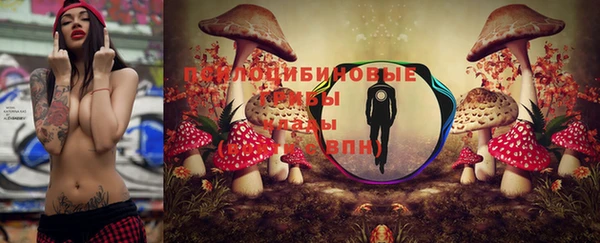 спиды Алексеевка