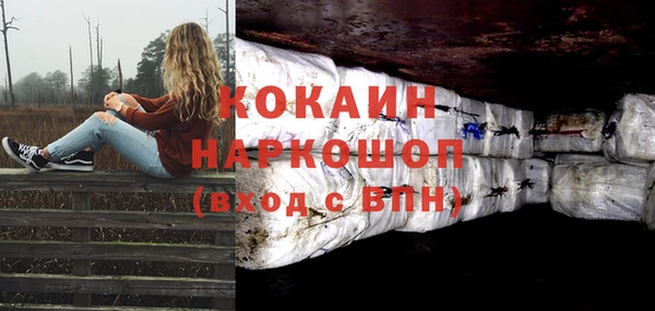 spice Алзамай