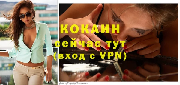 прущие крисы Абинск
