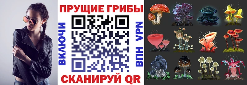 Галлюциногенные грибы мицелий  Кызыл 